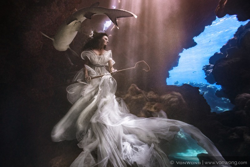 Illustration for article titled This Shark Shepherdess Looks Like She Stepped Out of an Underwater Fairy Tale